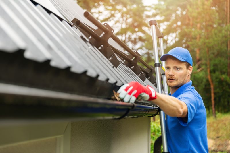 Professional Gutter Cleaning and Cover Service